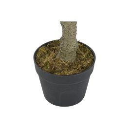 Planta Urban DKD Home Decor Verde Marron 60 x 150 x 60 cm (2 Unidades) Planta Urban DKD Home Decor Verde Marron 60 x 150 x 60 cm (2 Unidades)
