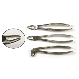 012091 Vi Extraction Forceps Straight Precio: 115.79000015. SKU: B1DC3KQEFX