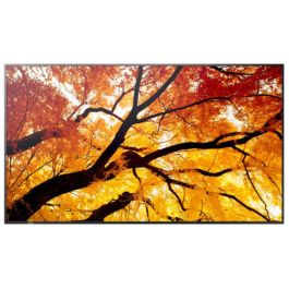 Monitor Videowall Sharp 60006057 4K Ultra HD 74,5" Precio: 2628.5000005. SKU: B1A5FGK894