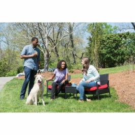 Petsafe LITE 600m - Sistema de Entrenamiento para Perros con Estimulación, Vibración, Sonido, Recargable e Impermeable