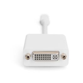 Digitus Adaptador DisplayPort Mini DP a DVI 24+5, Macho/Hembra, 0.15m, Blanco, Versión 1.1a, para Conectar Dispositivos