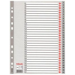 Esselte Índice Numérico Multitaladro 1-31 Polipropileno A4 gris con Carátula Índice Cartón Color Precio: 7.49999987. SKU: B1ERFNMTGF