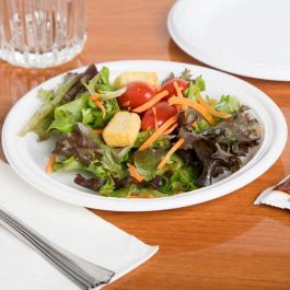 Algon Set 15 Plato Redondo Plástico Eco 17 cm