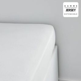 Today TOD3574643508027 Sábana Bajera Ajustable para 1 Persona, Algodón Jersey 100%, 160x200+25 cm, Color Tiza