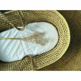 Candide Protector de Colchón 232003 Esponja 40x80 cm Blanco