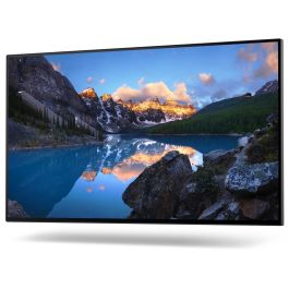 Dell U2422H Monitor UltraSharp 24" (60.5cm) Full HD (1920x1080) IPS, 5ms, HDMI, DisplayPort, VESA, Negro
