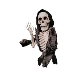 Esqueleto Precio: 10.69000031. SKU: B19G9M7NRY