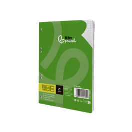Liderpapel Recambio A5 100 Hojas 75gr Cuadro 4mm con Margen 6 Taladros