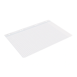 Liderpapel Recambio Cuarto 100 Hojas 60gr Horizontal con Margen 6 Taladros