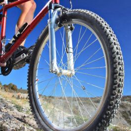 Bewinner Compresor de Aire (300 Psi) -24-