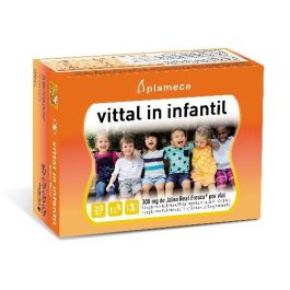 PLAMECA Vital In Infantil Jalea Real 20 Ampollas | Apoyo Inmunitario y Reducción del Cansancio para Niños Precio: 25.4999998. SKU: B13G5ANVQG