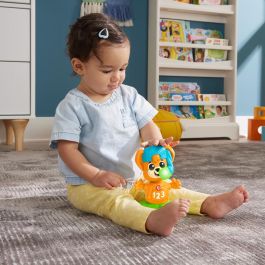 Fisher-Price HYK94 Juguete Musical de Desarrollo Link Squad Fox Opposites