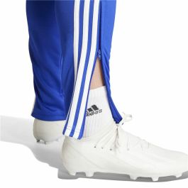 Pantalón de Entrenamiento de Fútbol para Adultos Adidas Tiro24 Training Regular Hombre
