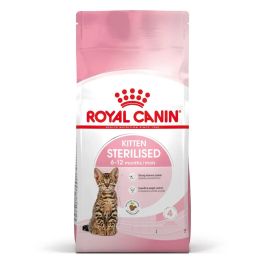 Royal Canin Kitten Sterilised 3,5 kg Precio: 48.7899995. SKU: B1J2NNC4L2