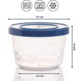 5 cajas de almacenamiento de 250 ml 5 cajas de almacenamiento de 250 ml