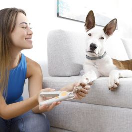 Cortaúñas con LED para Mascotas Clipet InnovaGoods
