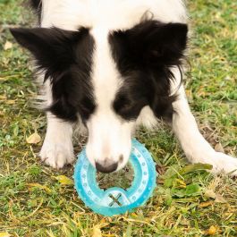 Juguete Mordedor Congelable para Mascotas 2 en 1 Glubiz InnovaGoods