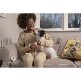 Pet Head On All Paws Paw Butter – Bálsamo Hidratante y Calmante para Perros Patas Secas y Agrietadas Avena Coco 40 gr