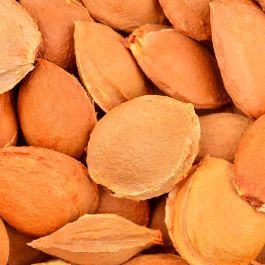 Kiehl'S Exfoliante Facial Energizing Scrub 100 ml | Revitaliza y Combate la Fatiga