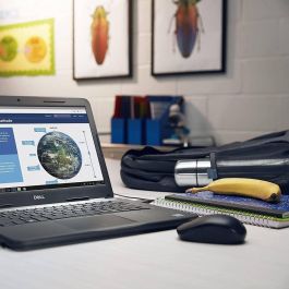 Dell Ratón Inalámbrico Óptico WM126