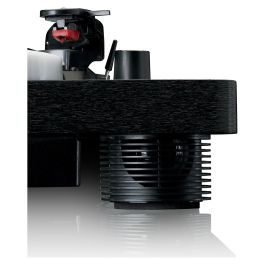 Lenco LS-50LED schwarz Tocadiscos de tracción por correa con reproducción MP3, Manual, Negro, Plástico, Madera, 33, 45, 78 RPM