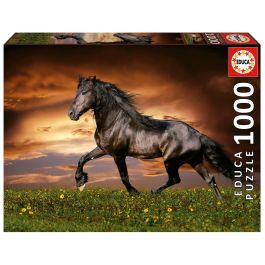 Puzzle 1000 Caballo Al Trote 19555 Educa Precio: 10.58999986. SKU: B1KHS4VK3K