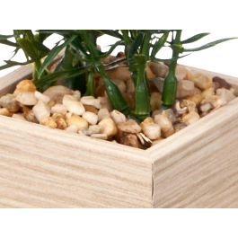 Portafoto 10X15Cm Con Planta Giftdecor (8 Unidades) Portafoto 10X15Cm Con Planta Giftdecor (8 Unidades)