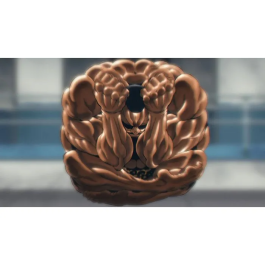 Just For Games Baki Hanma Blood Arena - Juego de PS5 AABRN22558