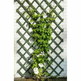 Nature Garden Trellis 50 x 150 cm Madera Verde Precio: 24.50000014. SKU: B1BG9EJ7WJ