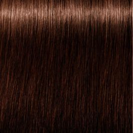 Schwarzkopf IGORA ROYAL ABSOLUTES #5-60 Tinte Pelo 60 ml Anti-Age