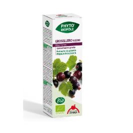 Grosellero Negro Phyto-Biopole Grosellero Negro Phyto-Biopole Precio: 12.5900005. SKU: B1BW49WY57