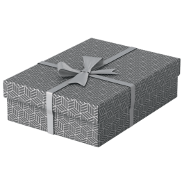 Esselte Caja de almacenaje 628285 Pack 3 Cajas Grises 360x265x100mm Cartón