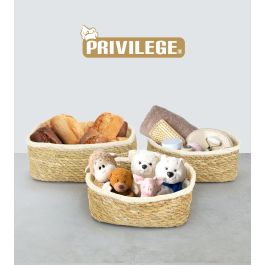 Privilege Set de 3 Cestas de Mimbre Rectangulares - 26x20 cm, 23x17 cm, 20x15 cm (4 Cajas)