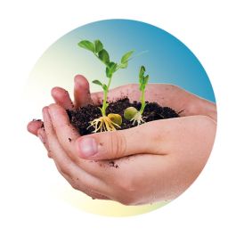 Clementoni 55283 La Biosfera - Kit Científico Educativo para Niños: Aprende el Ciclo del Agua y Germinación de Plantas, +8 años