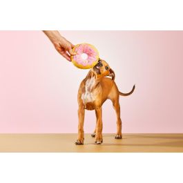 Gloria Peluche Para Perro Dognut Rosa Frosty Blando con Sonido para Perros Pequeños y Medianos