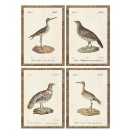 Cuadro Cottage DKD Home Decor Beige 2.5 x 50 x 40 cm (4 Unidades) Precio: 182.49999966. SKU: B1777H5CSZ