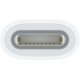 Apple Adaptador USB-C a Apple Pencil 1.ª Generación para iPad con Puerto USB-C