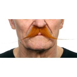 Bigote one size Precio: 5.50000055. SKU: B13Q3CYZ3D
