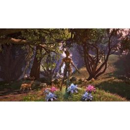 Microsoft 196388610693 - The Elder Scrolls IV Oblivion - Serie Xbox