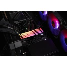 Kingston Technology FURY Beast RGB módulo de memoria 32 GB 2 x 16 GB DDR5 ECC Kingston Technology FURY Beast RGB módulo de memoria 32 GB 2 x 16 GB DDR5 ECC