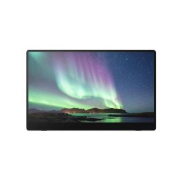 RICOH Monitor portatil 150 15,6" Precio: 365.50000036. SKU: B1F9GKYDCH