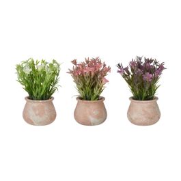 Maceta Terracota Baja Con Flores Surtidos Colores Ibergarden 15X23CM (12 Unidades) Maceta Terracota Baja Con Flores Surtidos Colores Ibergarden 15X23CM (12 Unidades)