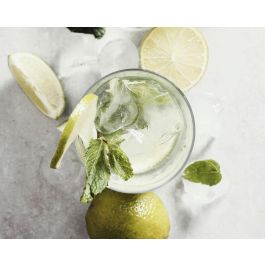 Set de 10 vasos Mojito 330 cc PS por Algon (12 Cajas) Set de 10 vasos Mojito 330 cc PS por Algon (12 Cajas)