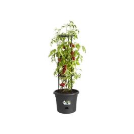 Elho Pote de Tomate Green Basics con Estaca Circular y Tanque de Agua 33 cm Negro Brillante