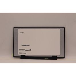 Lenovo 14-inch LCD panel, HD resolution, TN technology, 220 nits brightness, anti-glare finish, non-touch design. Lenovo 14-inch LCD panel, HD resolution, TN technology, 220 nits brightness, anti-glare finish, non-touch design.