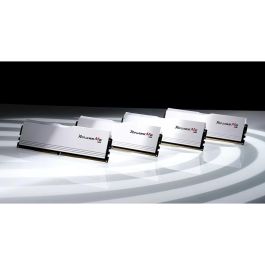 G.Skill F5-6000J3036F48GX2-RM5RW 96 GB (2x48GB) DDR5 6000 MT/s CL30 Dual-Kit Ripjaws M5 RGB Intel XMP para PC