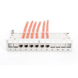 Digitus Patchpanel Modular de Sobremesa 12 Puertos RJ-45 Apantallado, 1U, Color Gris