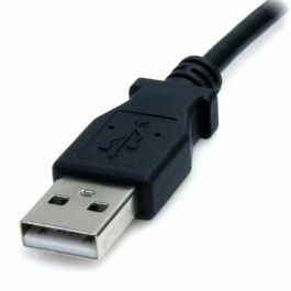 Cable USB USB M Startech USB2TYPEM2M 2 m Negro