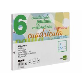 Recambio Liderpapel Cuarto Apaisado Pautaguia 100 Hojas 75 gr Cuadriculado Pautado 6 mm Con Margen 2 Taladros