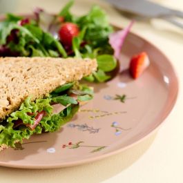 Day Juego de 4 Platos 25 cm Colores Surtidos Arena Natural Verde Musgo Amarillo Arena Ilustraciones de Plantas